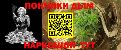 стаф Лесосибирск