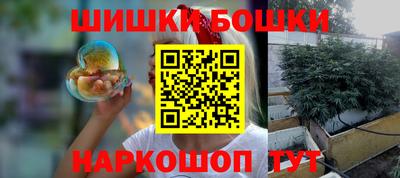 стаф Лесосибирск
