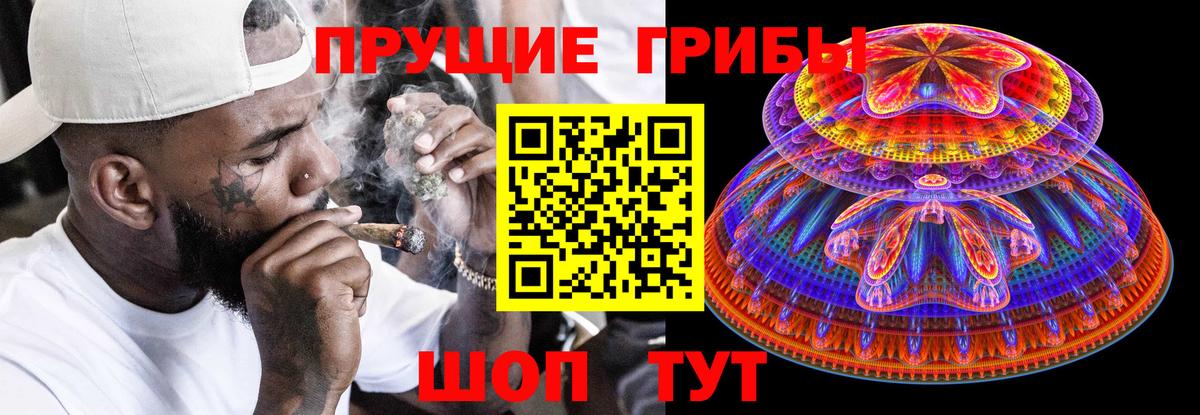 Псилоцибиновые грибы Psilocybe Красноармейск