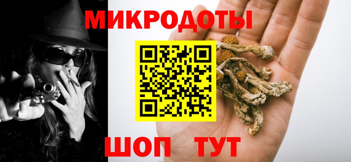 Красноармейск  Псилоцибиновые грибы Psilocybe  продажа наркотиков  Вход с VPN 